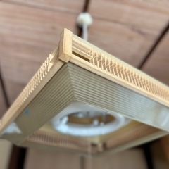 ★古い電気のカサ★5個セット★