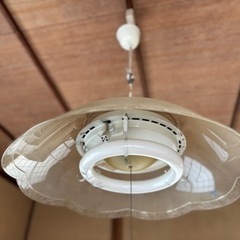 ★古い電気のカサ★5個セット★の画像