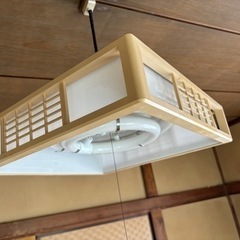★古い電気のカサ★5個セット★の画像