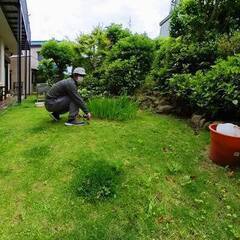 【お庭】広大なお庭・草毟りのお見積りに行ってきました。