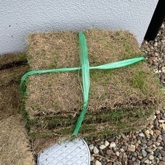 生活雑貨 家庭用品 ガーデニング