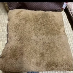 猫用ベッドの画像