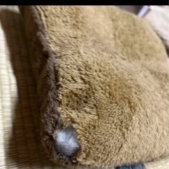 猫用ベッドの画像