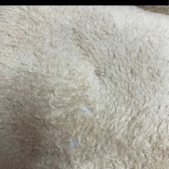 猫用ベッドの画像