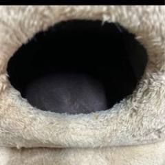 猫用ベッドの画像