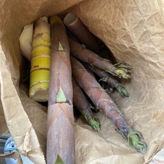 食品
