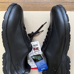 【新品，半額】スポーツ シューズメンズの画像