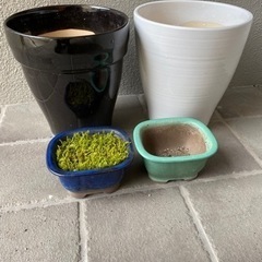 陶器、植木鉢
