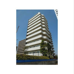 【🦚入居費用10万円🦚】✨審査No.1✨ 🔥⻄武池袋・豊島線 所...