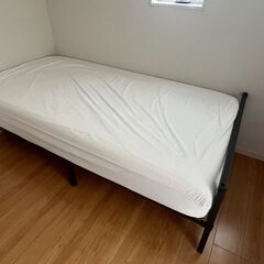 アメリカン ツイン マットレス  2枚可用の画像