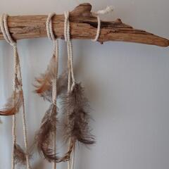 羽根と流木　マクラメ タペストリー / 壁掛けの画像