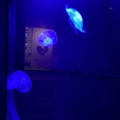 沖縄県　水道配管　オススメ✨☝️ 社員登録　日払いあり。