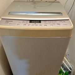 家電 生活家電 洗濯機