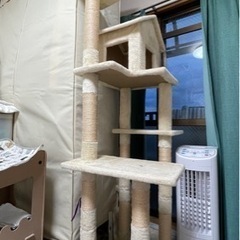 キャットタワー