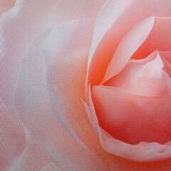 いろいろな勉強したい… いろいろな研究したい… 男女仲間募…