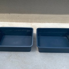 トロ箱　コンテナ　メダカ飼育　2個