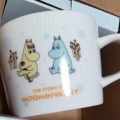 ムーミン🌟スープマグの画像