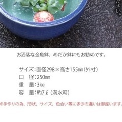 【6/23(日)以降は処分になります😢】信楽焼 10号水鉢 すいれん鉢 メダカ鉢 睡蓮鉢 スイレン鉢 金魚鉢 水鉢 陶器　の画像