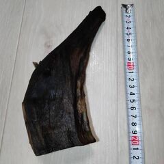 流木②　水槽インテリアに・・・