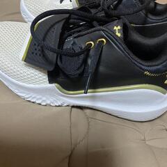 バッシュ