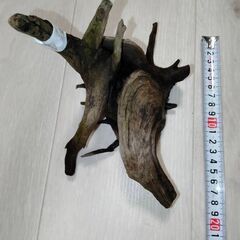 流木④　水槽インテリアに・・・