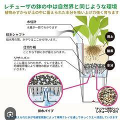 レチューザ.ポン暖効性肥料の画像