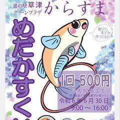 2024.6.30めだかすくい