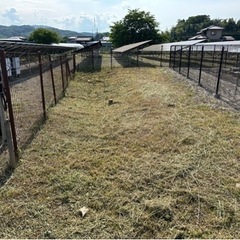 草刈り•除草作業の画像