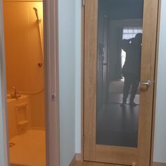 パナソニック建材ガラスドア-その2