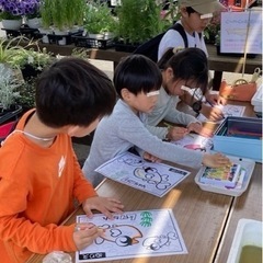 🩵ＪＡさがみ直売所各店、週5日体制でイベントしています❣️【社会貢献の一貫として、介護施設・養護施設・小学校・幼稚園にメダカ寄贈も行っています】 - その他
