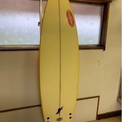 スポーツ マリンスポーツの画像