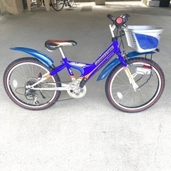 お話し中【美品】子供用自転車　ブリヂストンEX8の画像