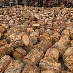 6月薪割りボランティア