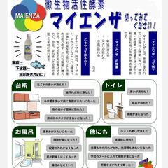 マイエンザ・えひめＡＩの画像