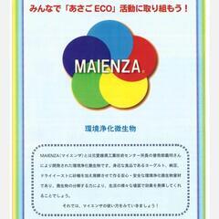 マイエンザ・えひめＡＩの画像