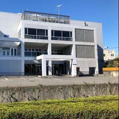 【ソフトテニス】6/9(日)八王子で16-19時🎾 - 日野市