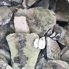 石 コンクリートガラ
の画像