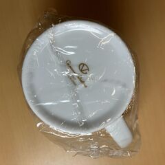 Giovanni Valentino ストレーナー付マグ GV9973の画像