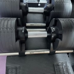 フレックスベル32kg×2(2kg刻み) ダンベルの画像