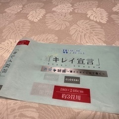 新品ラグ、3畳カーペット