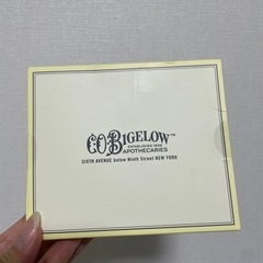 COBIGELOW トラベルセット　新品