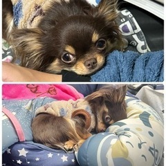 犬友募集!!🐶🐾