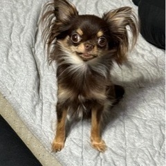 犬友募集!!🐶🐾 - 友達