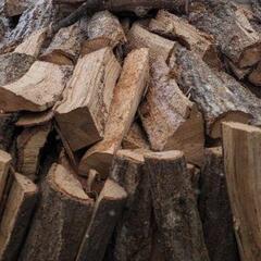 キャンプシーズン薪。10本❸の画像