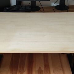 天板のみ　150cm×90cm×2.5cm　昇降デスク Flex...