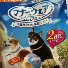 犬用のおむつ マナーウェア