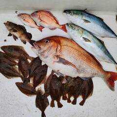 船釣り ジギング　釣り仲間募集 - メンバー募集