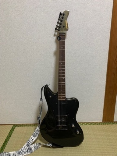 楽器 弦楽器、ギター