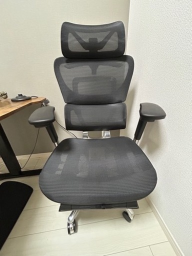 COFO Chair Premium 中古品