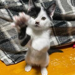 里親様決まりました💕ありがとうございました😂